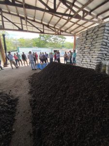 Durante el año 2023, brindamos una consultoría en Nicaragua mediante la agencia GIZ, para capacitar productores de café en la producción de biocarbón, la producción de este material ha tenido como fin la mejora de las técnicas del compostaje de la pulpa de café, siendo un proceso circular ya que el material final regresa como un abono orgánico de alta calidad a los cafetales, drindando muchos beneficios a los suelos y ayudando a reducir gradualmente la dependencia de fertilizantes sintéticos.